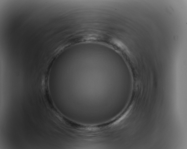 X0000089731353200706281541
