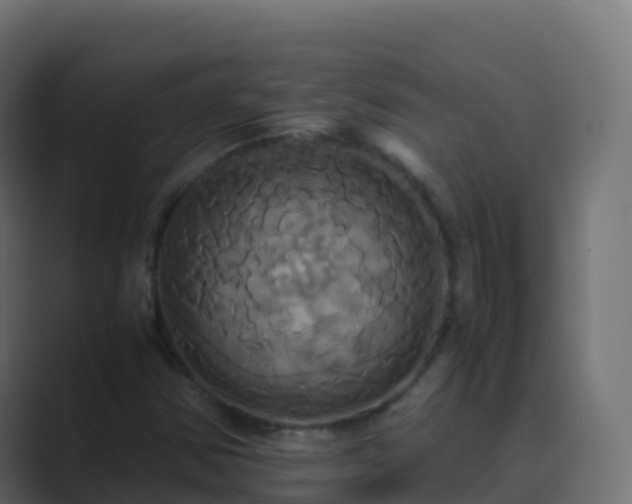X0000089731354200706281541