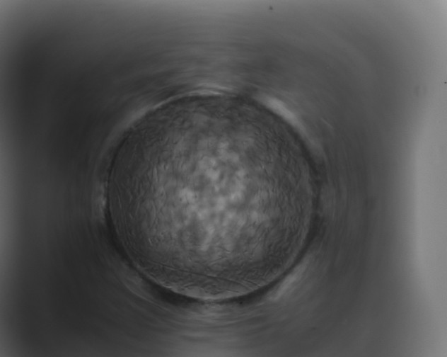 X0000089731355200706281541