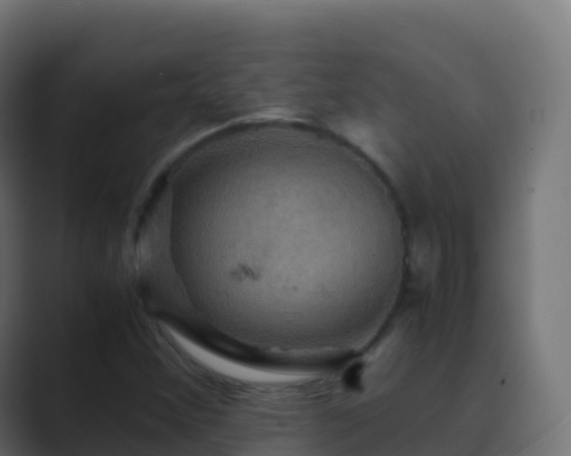 X0000089731356200706281541