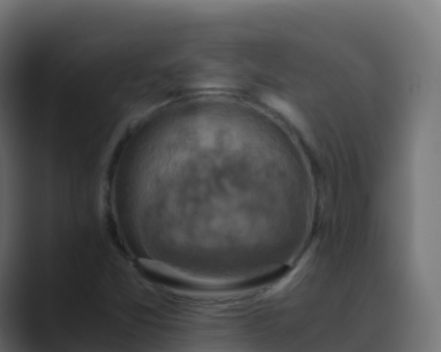 X0000089731357200706281541
