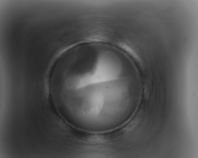 X0000089731358200706281541