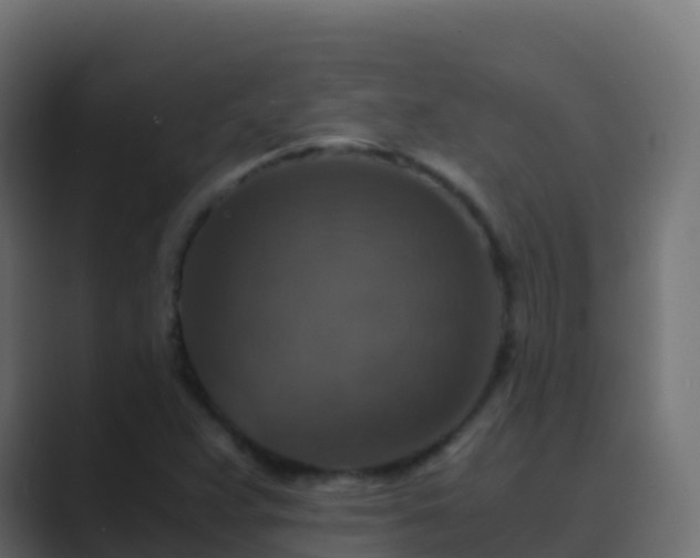 X0000089731359200706281541