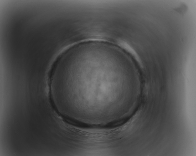 X0000089731360200706281541