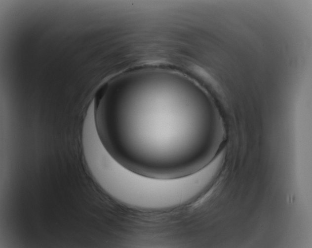X0000089731361200706281541