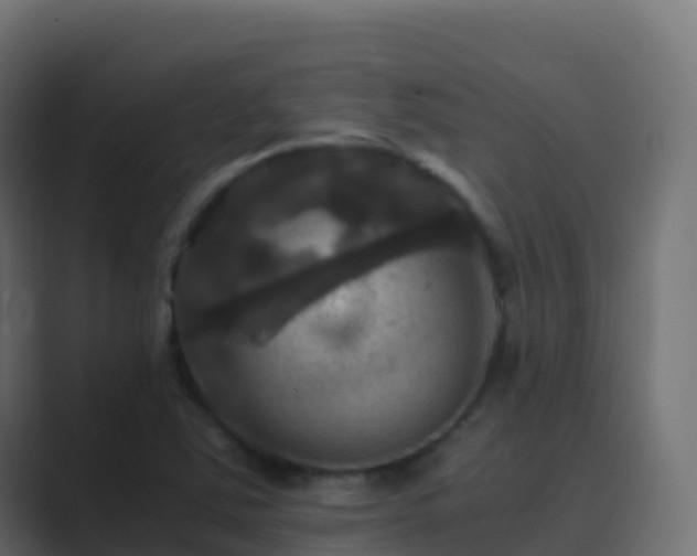 X0000089731363200706281541