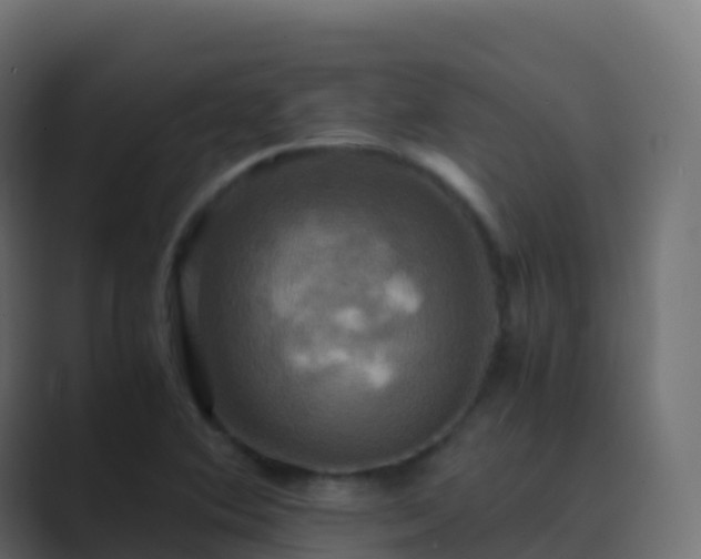 X0000089731364200706281541