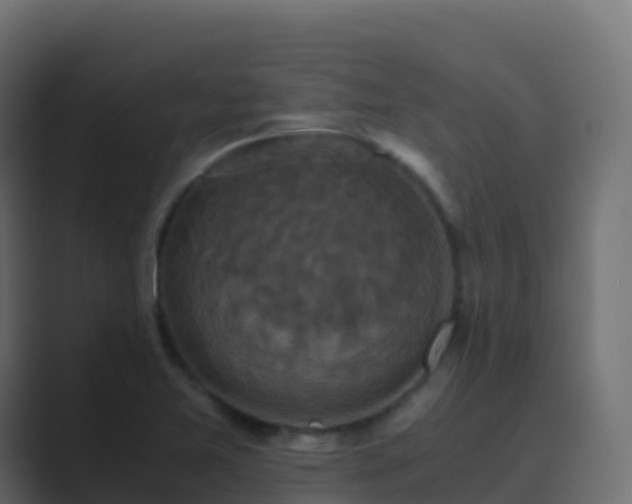 X0000089731365200706281541
