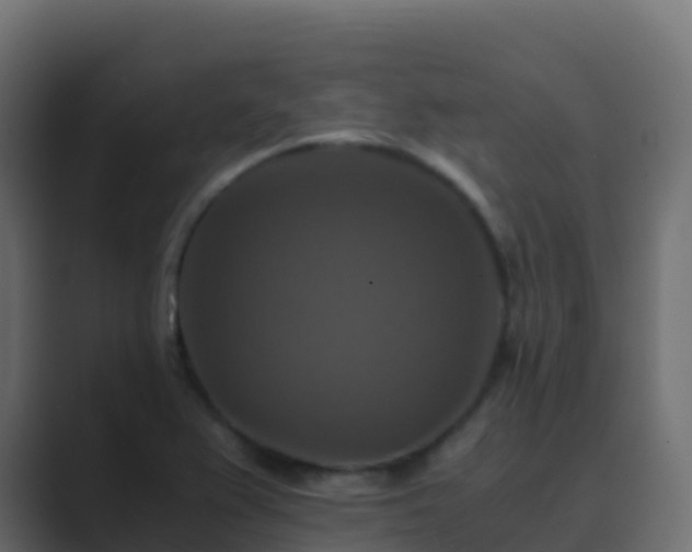 X0000089731367200706281541