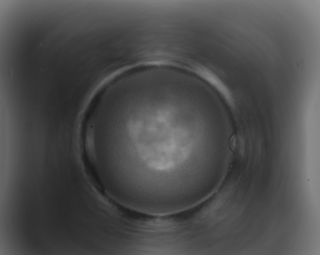 X0000089731368200706281541