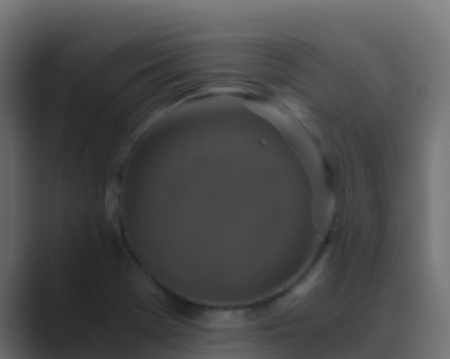 X0000089731369200706281541