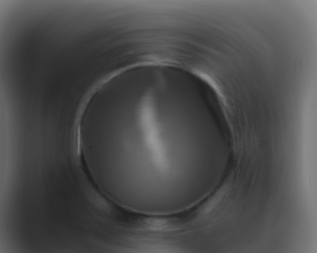 X0000089731371200706281541