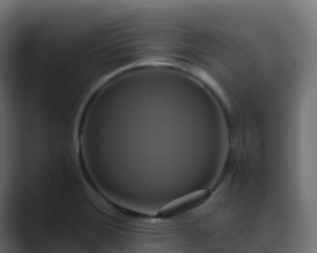 X0000089731372200706281541