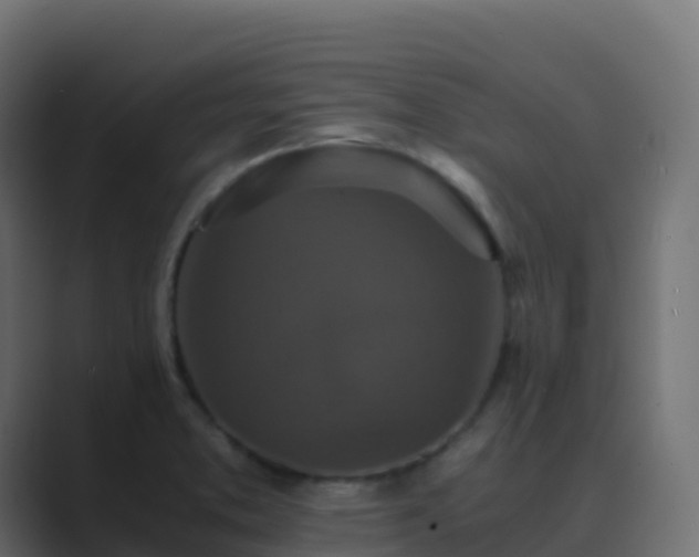 X0000089731373200706281541