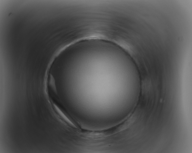 X0000089731374200706281541