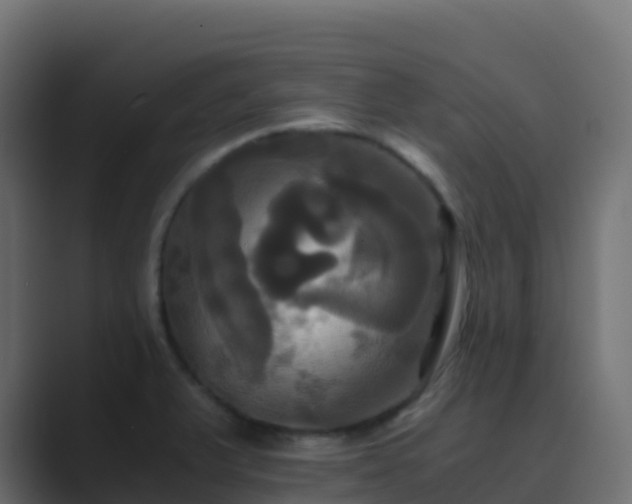 X0000089731375200706281541