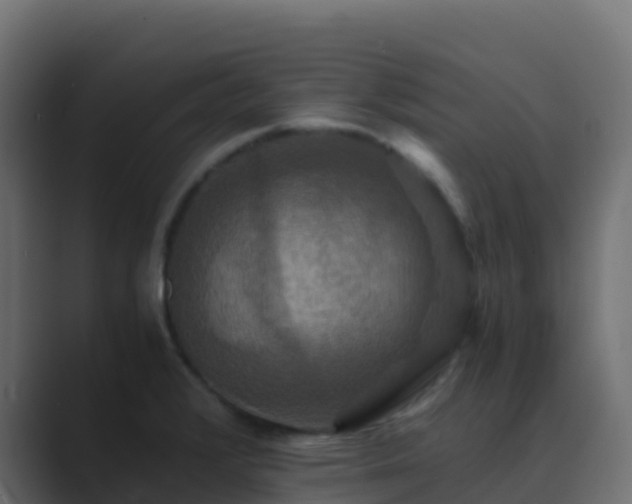 X0000089731376200706281541