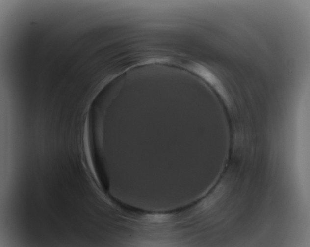 X0000089731377200706281541