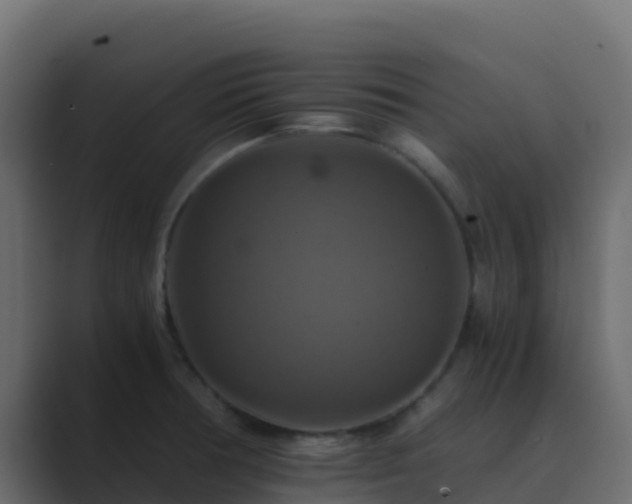 X0000089731378200706281541