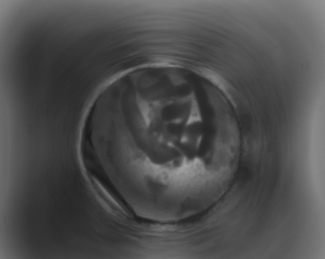 X0000089731379200706281541