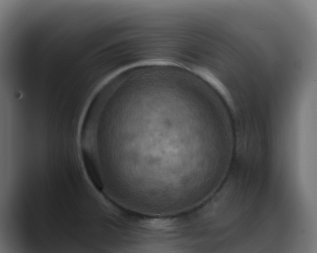 X0000089731380200706281541