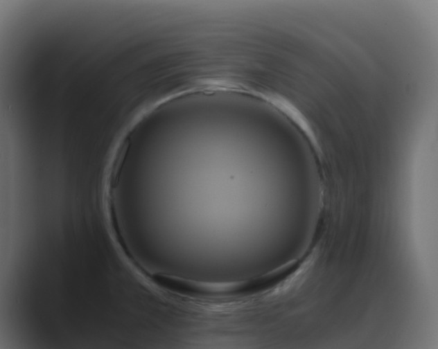 X0000089731381200706281541