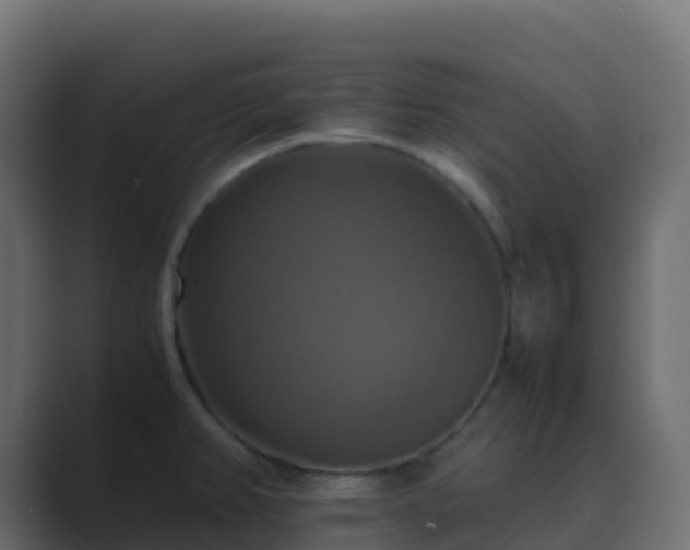 X0000089731382200706281541