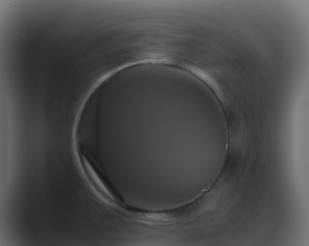 X0000089731383200706281541
