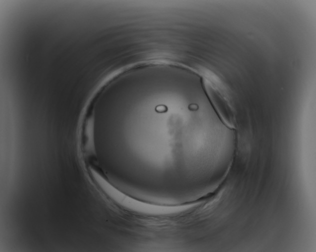 X0000089731384200706281541