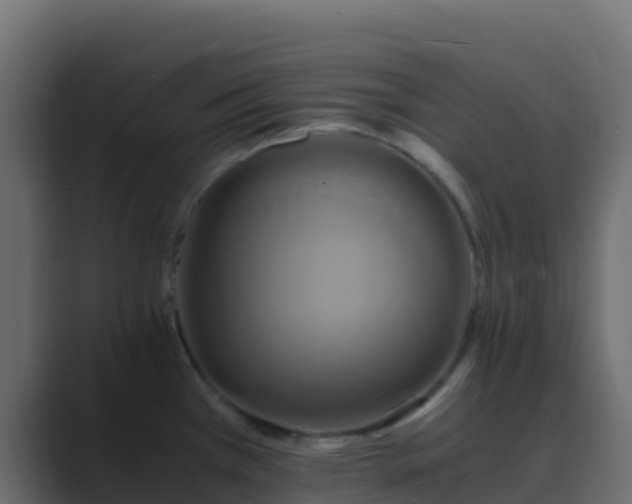 X0000089731385200706281541