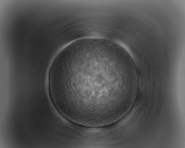 X0000089731387200706281541