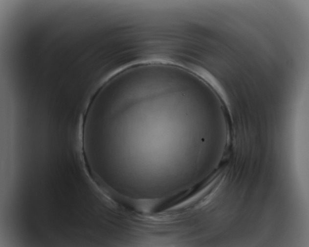 X0000089731388200706281541