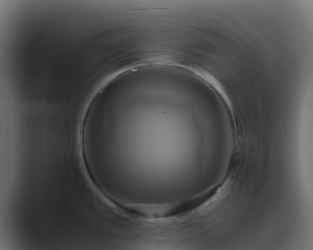 X0000089731389200706281541