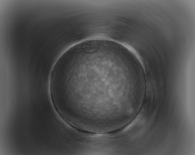 X0000089731390200706281541