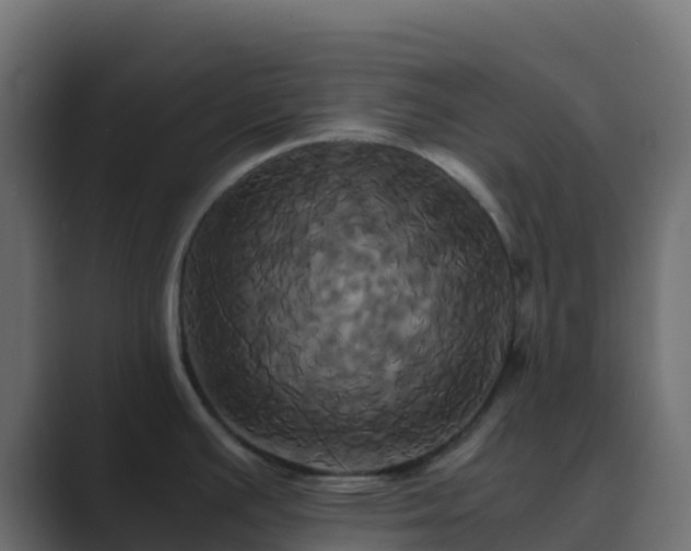 X0000089731391200706281541