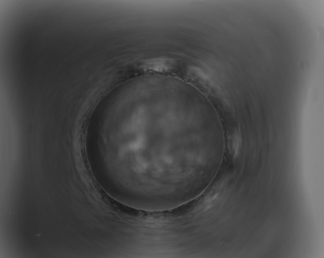 X0000089731393200706281540