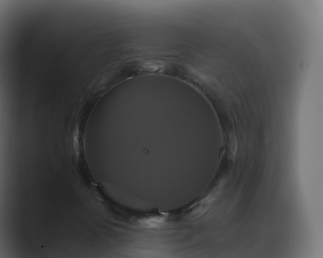 X0000089731394200706281540