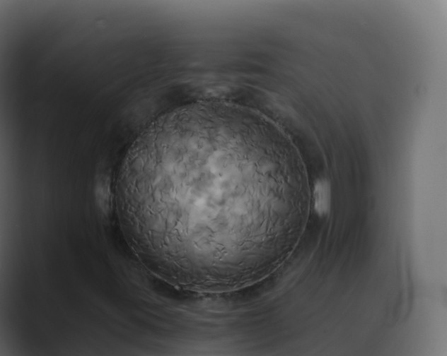 X0000089731395200706281540