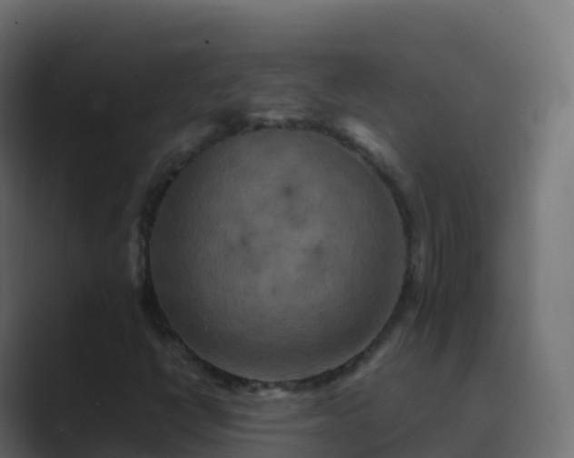 X0000089731398200706281540