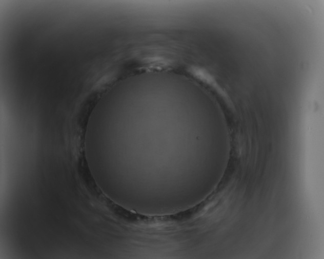 X0000089731399200706281540