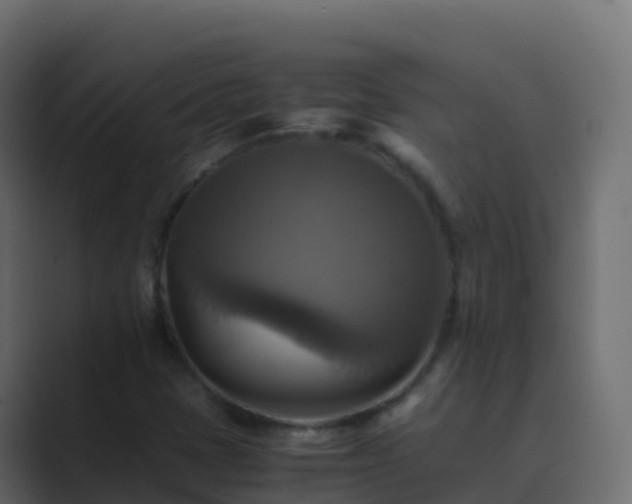 X0000089731401200706281540