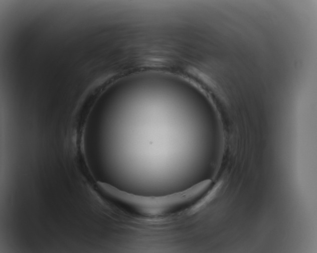 X0000089731402200706281540