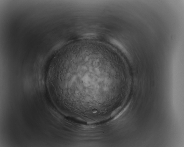 X0000089731403200706281540