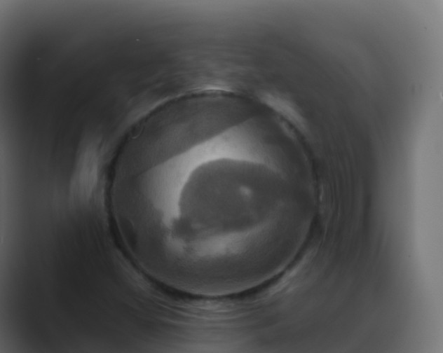 X0000089731404200706281541