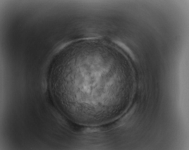 X0000089731407200706281541