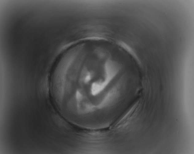 X0000089731408200706281541