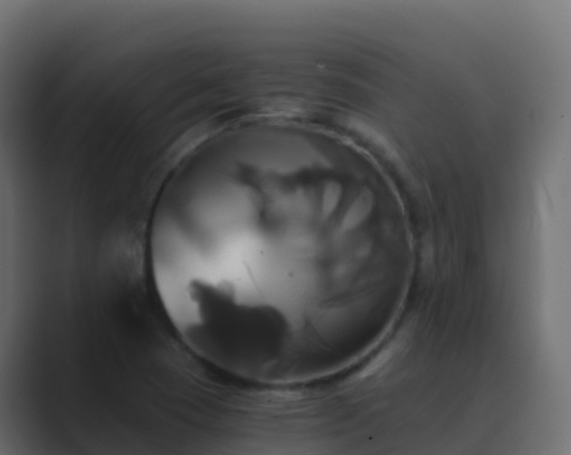X0000089731409200706281541