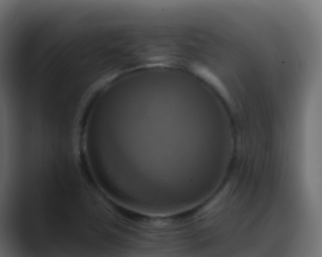 X0000089731411200706281541
