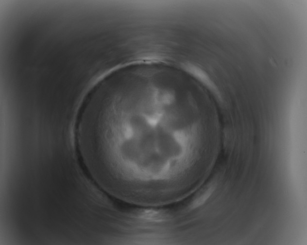 X0000089731412200706281541