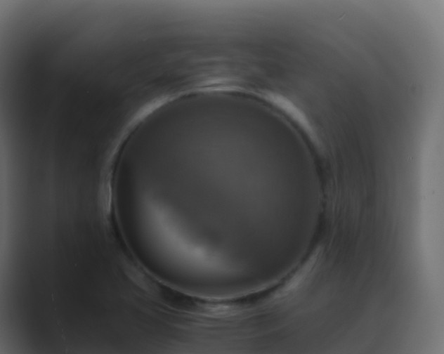 X0000089731413200706281541